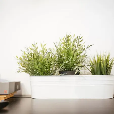 Art Nouveau דירה *